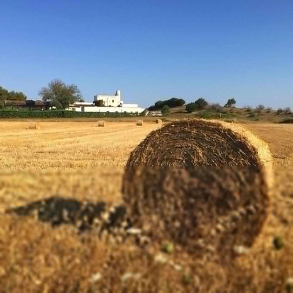 Masseria Fabrizio 3* Otrante