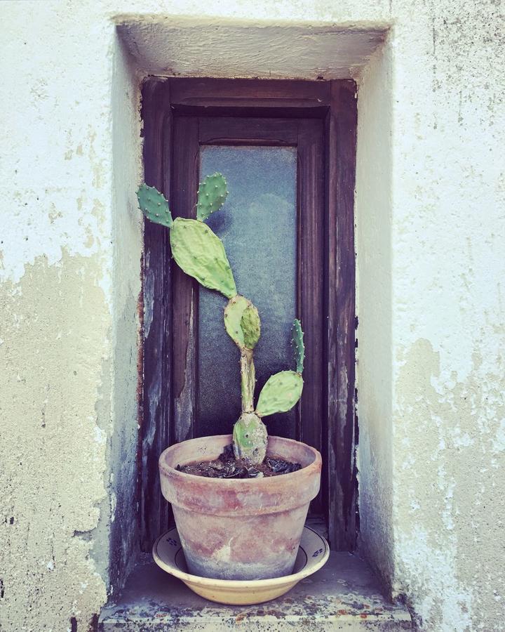 Masseria Fabrizio Hotel