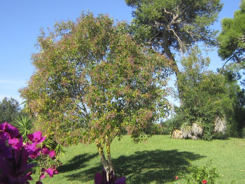 Hotel Masseria Fabrizio 3*