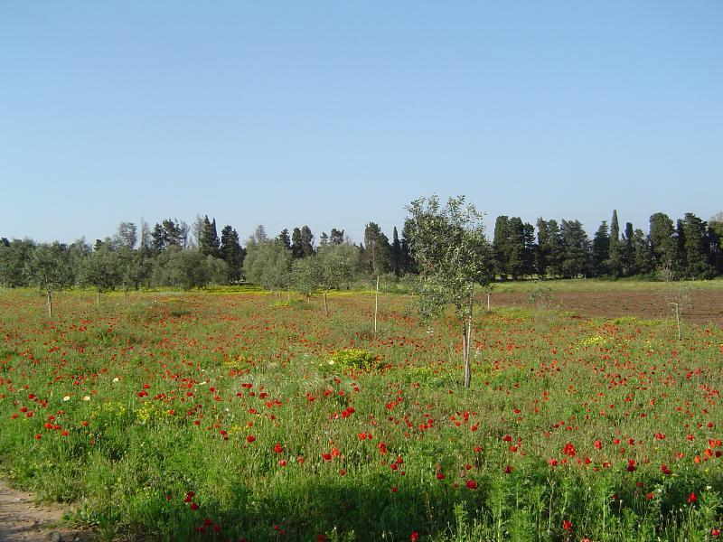 Masseria Fabrizio
