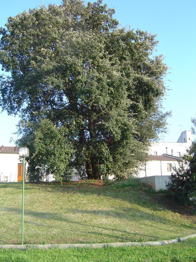 Masseria Fabrizio Hotel 3*